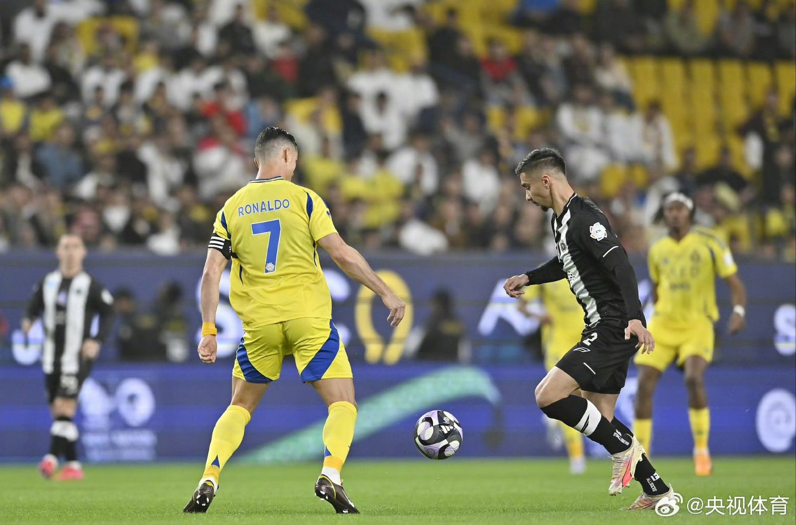 爱沙尼亚队勇夺关键一役，欧洲杯资格赛形势一片大好的简单介绍