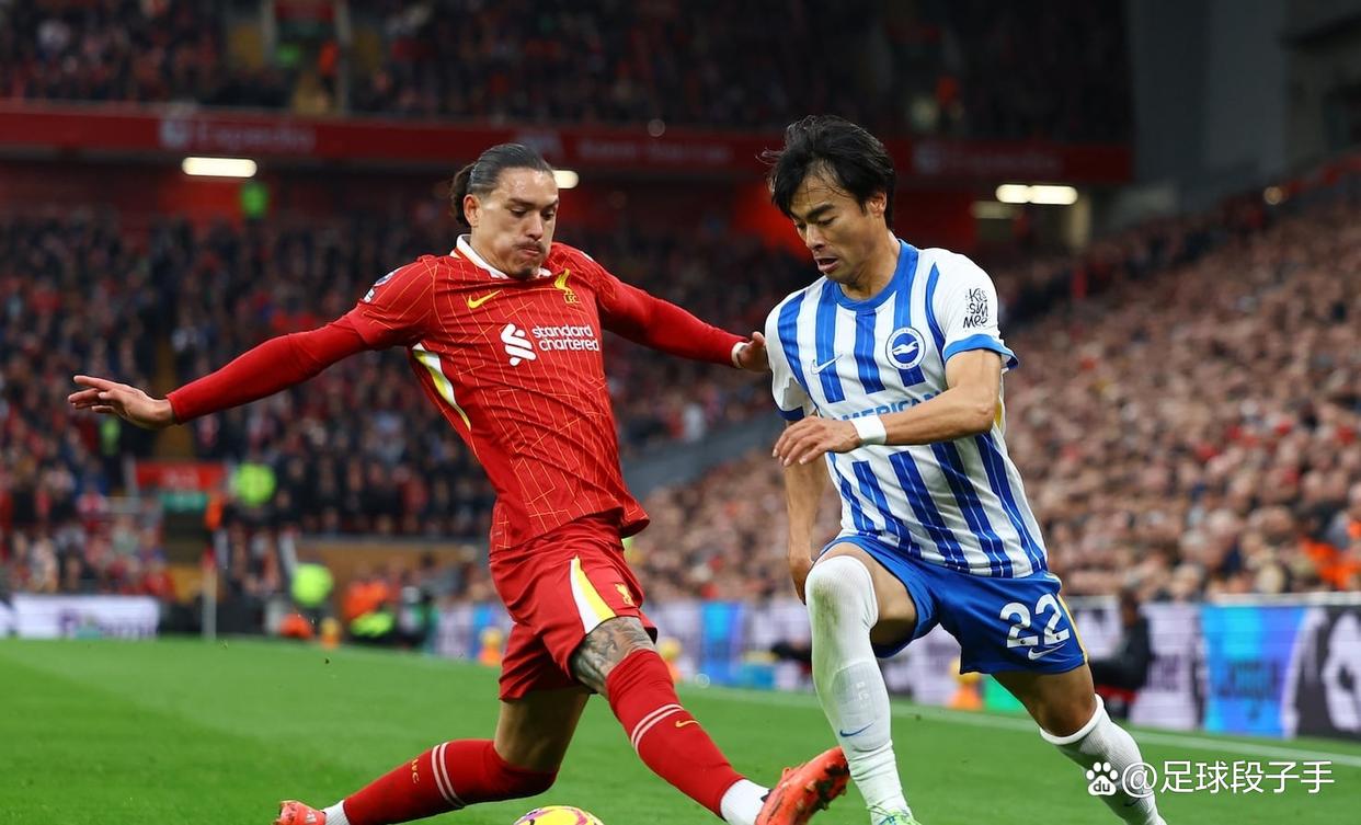 包含布莱顿主场逼平西汉姆联，保持不败的词条