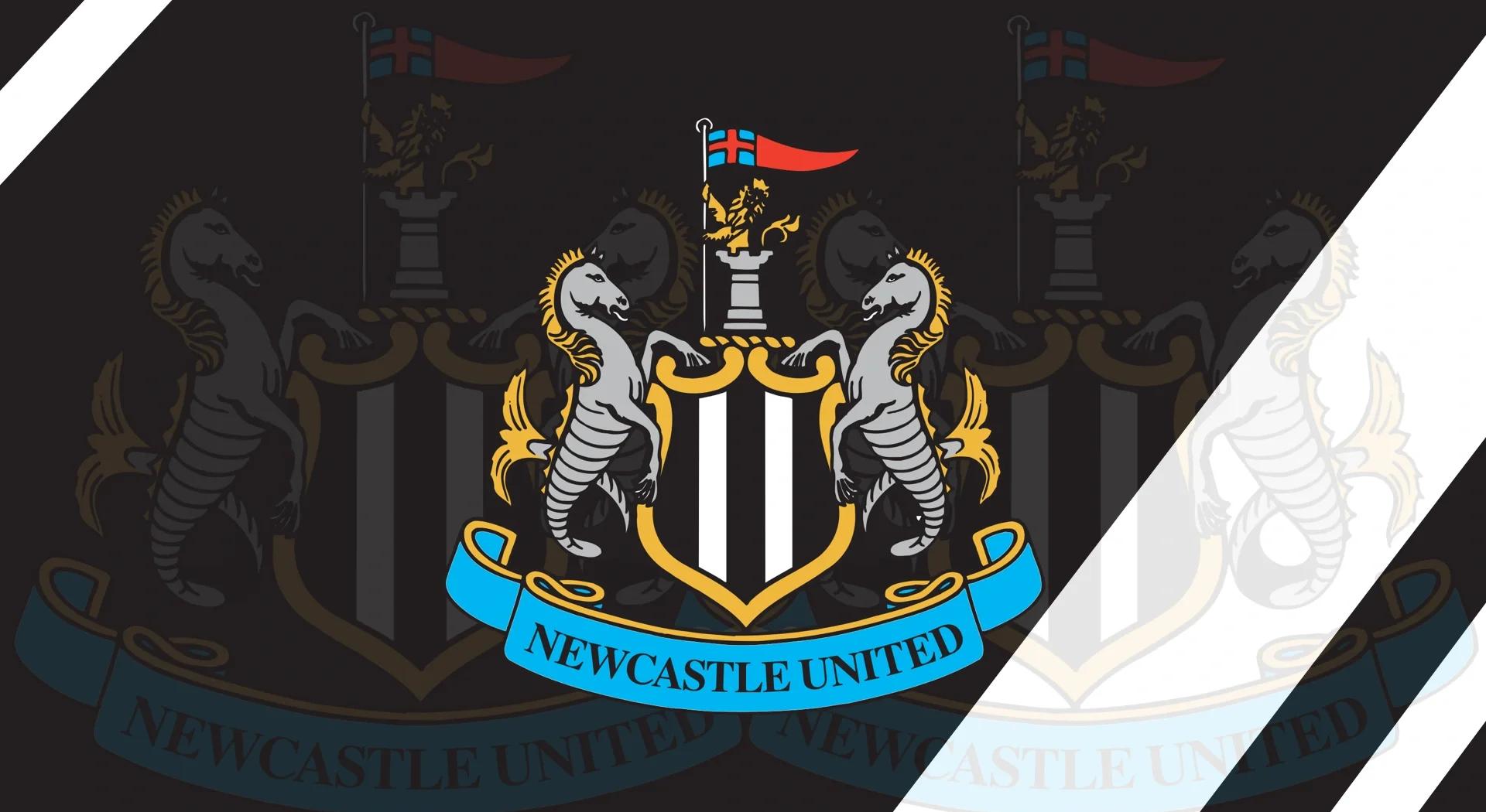 包含纽卡斯尔联主场大胜，保级前景稍显乐观的词条