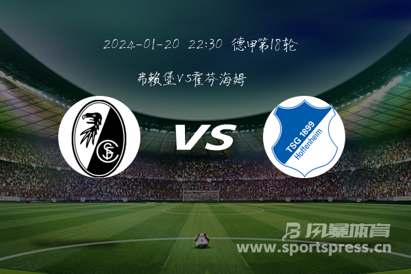 霍芬海姆球员集体休整德甲战术调整