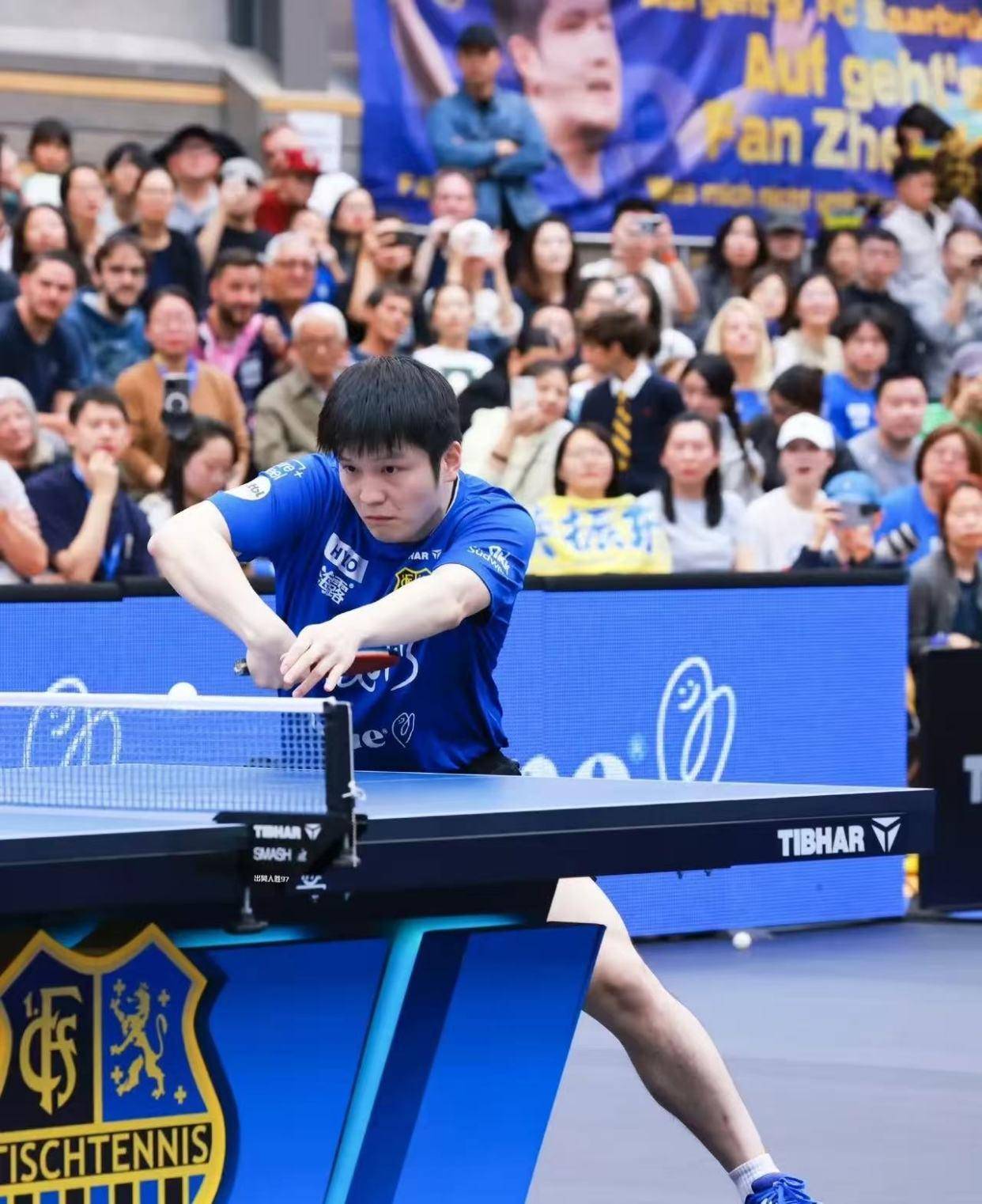 波兰乒乓球队翻盘德国乒乓球队,樊振东送出助攻的简单介绍 波兰乒乓球队翻盘德国乒乓球队,樊振东送出助攻的简单介绍