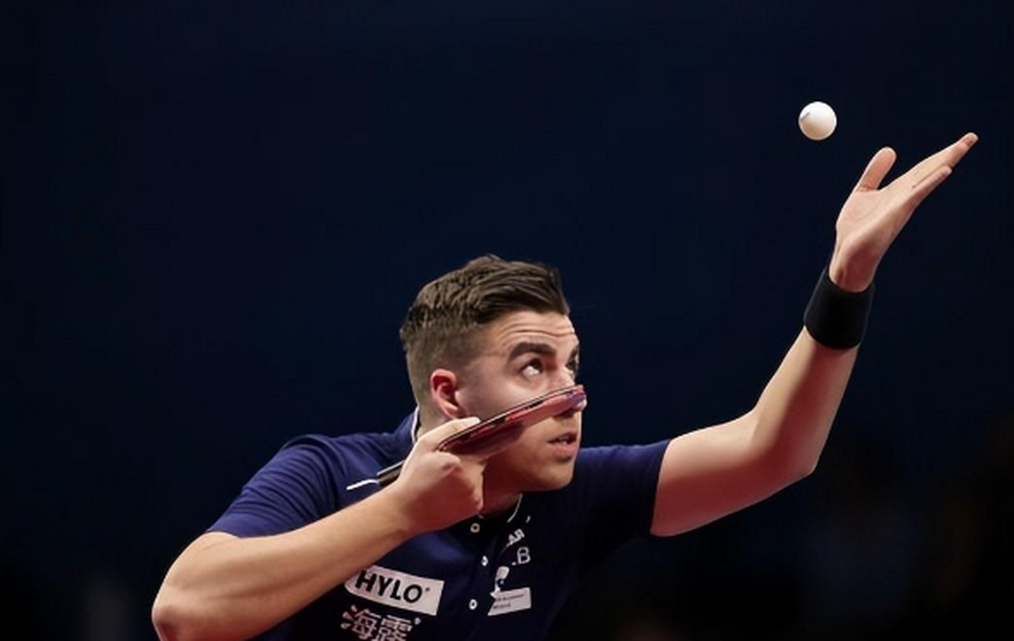 包含英国乒乓球队绝地反击波兰乒乓球队，奥恰洛夫高光表现的词条