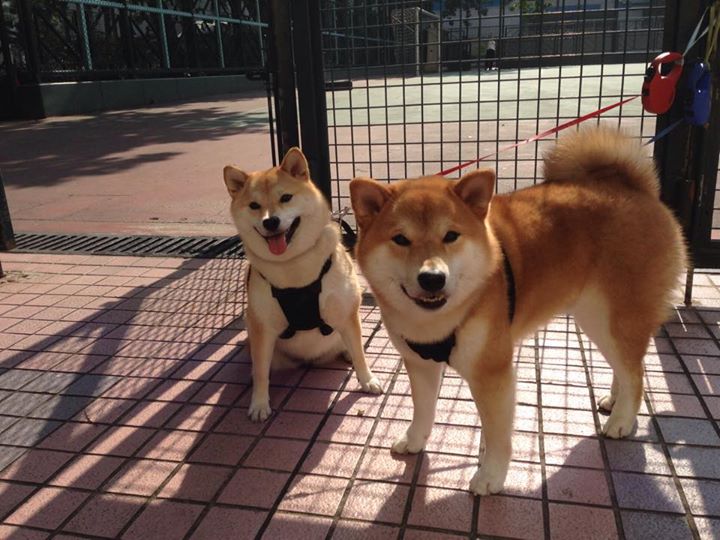 利物浦的节奏魔法，从喀麦隆铁腰到京多安式接管，英超争冠的掌控艺术