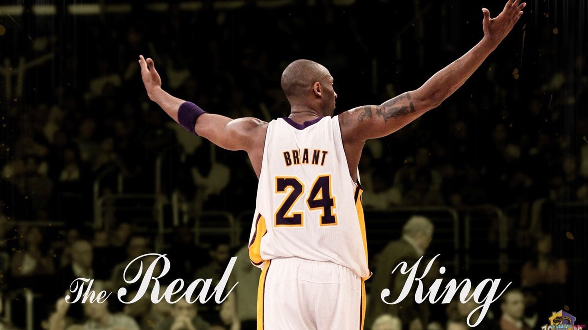 从法比尼奥爆发到美国加时制胜,体育精神中的坚韧与突破